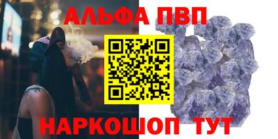 СК Кингисепп