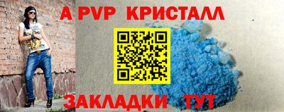 СК Кингисепп