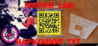 СК Кингисепп