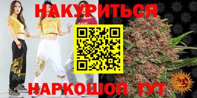 СК Кингисепп