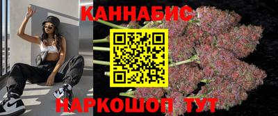 СК Кингисепп