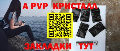 СК Кингисепп