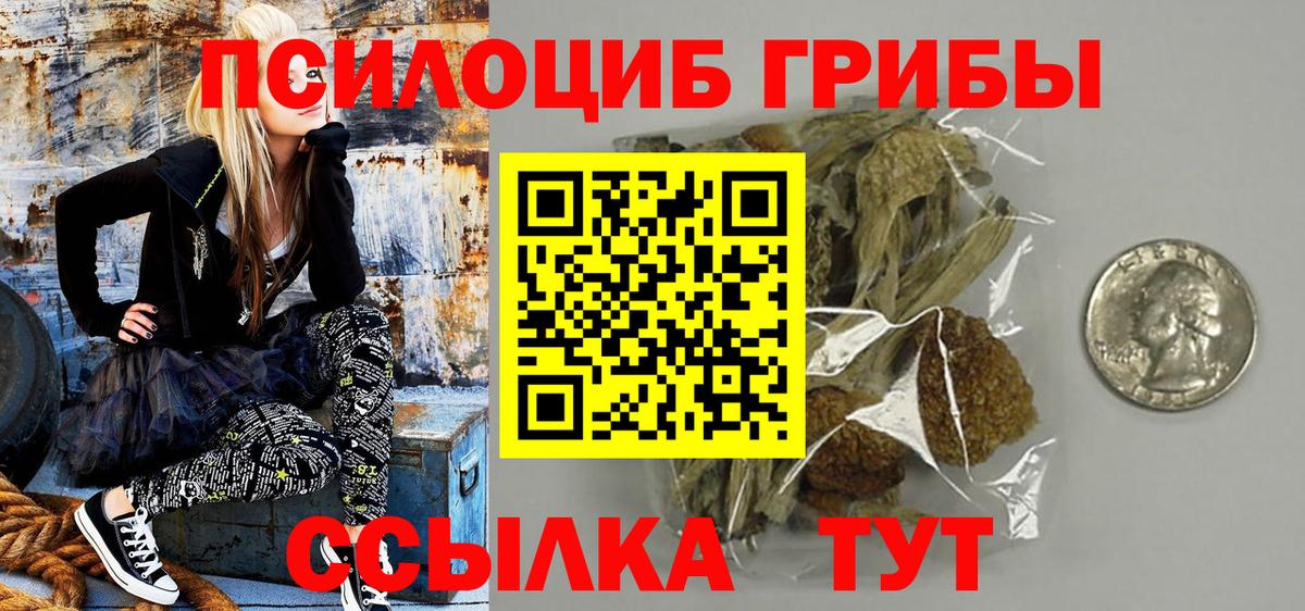 Кисловодск  Псилоцибиновые грибы мухоморы  Вход с VPN 